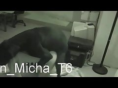 Teens Fuck Dog Porn