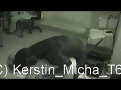 Teens Fuck Dog Porn
