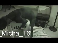 Teens Fuck Dog Porn