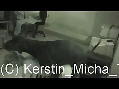 Teens Fuck Dog Porn