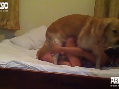 Men Fuck Dog Mouth