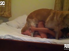 Men Fuck Dog Mouth