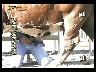 Besos Con Lengua Zoofilia