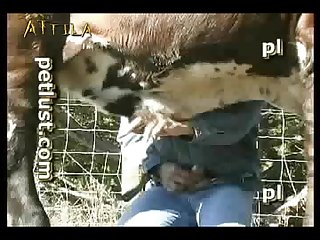 Besos Con Lengua Zoofilia