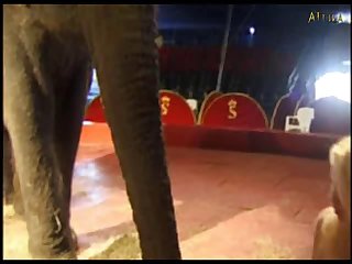 Porn Zoofilia Grandes Mamadas Dog