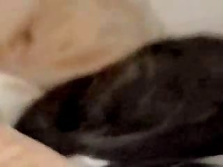 Videosgratis De Zoofilia