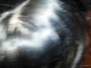 Zoofilia Gratis Fotos