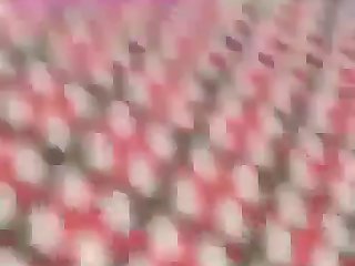 Videos Pornos Gratis De Zoofilia