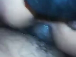 Mi Perro Me Coje Zoofilia