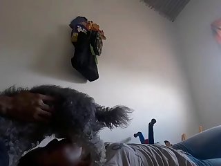 Zoofilia Romania