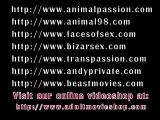 Zoofilia Video Robado