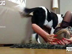 Dog Fuck Xx