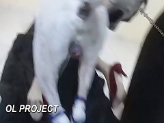Dog Fuck Girl Cry