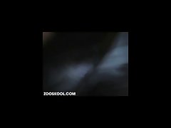 Dog Fuck Girl Luxure