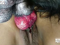 Dog Fuck By A Man