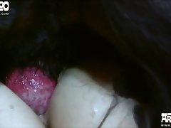 Teenluma Dog Fuck