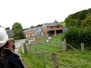 34.pig Fucking Sheep