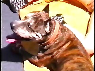 Sola En Casa Zoofilia