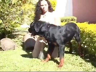 Ley De Bienestar Animal Despenaliza La Zoofilia