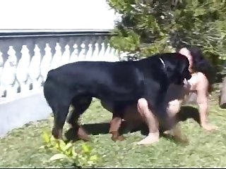 Zoofilia Codigo Penal