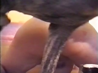 Relatos Porno Zoofilia Perra Anal