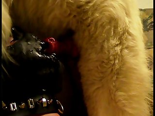 Shiraz Sex Xxx Porn