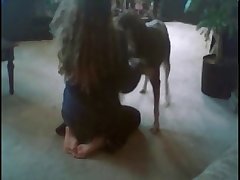 Tik Tok Dog Fuck