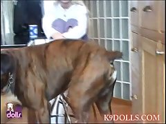 Dog Fuck Anal Xxx
