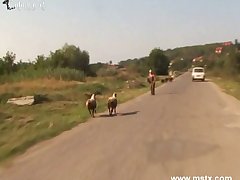 Brazzers Sex Animal