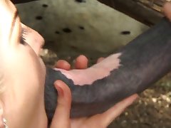 Animal Sex Video With Man