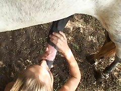 Animal Sex Video With Man