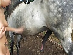 Animal Sex Video With Man