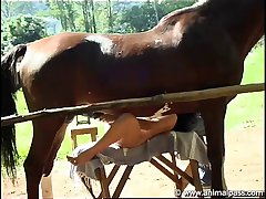Teen Animal Sex Tube