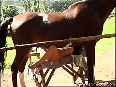Teen Animal Sex Tube