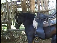 Zoo Sex Tv Free Animal Porn Animal Sex Zoo Porn Dog Porn Bing Videos