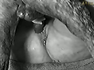Caldo De Pollo Xxx Porn