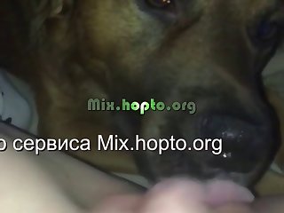Torrent Xxx Porn