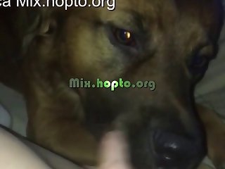 Torrent Xxx Porn