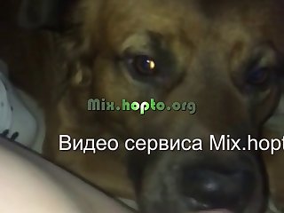Torrent Xxx Porn