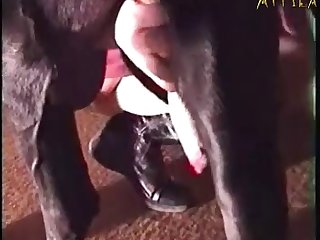Heels Porn Xxx