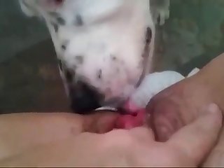 Darci Belle Anal Xxx Porn