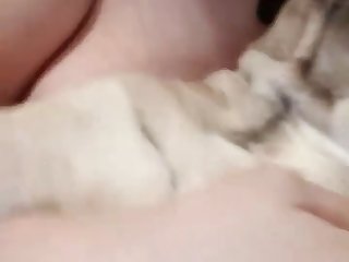Best Asian Porn Big Boobs Xxx