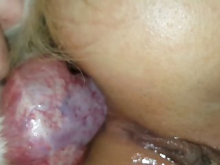 Xxx Porn Hub Sex
