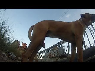 Karma Xxx Porn