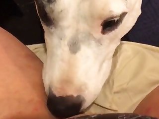 Xxx Porn Beautiful Teen