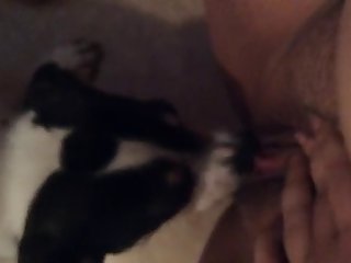 Roman Reigns Xxx Porn