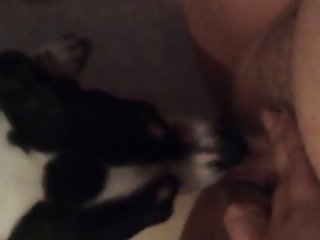Roman Reigns Xxx Porn