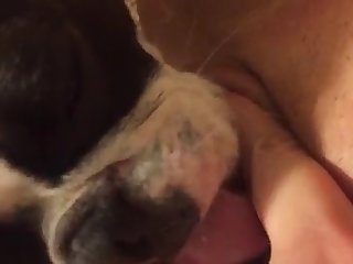 Claudia Fijal Xxx Porn