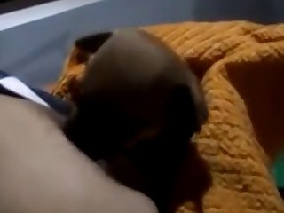Perfect Retro Blonde Star Porn Xxx