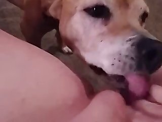 Xxx Factor Porn